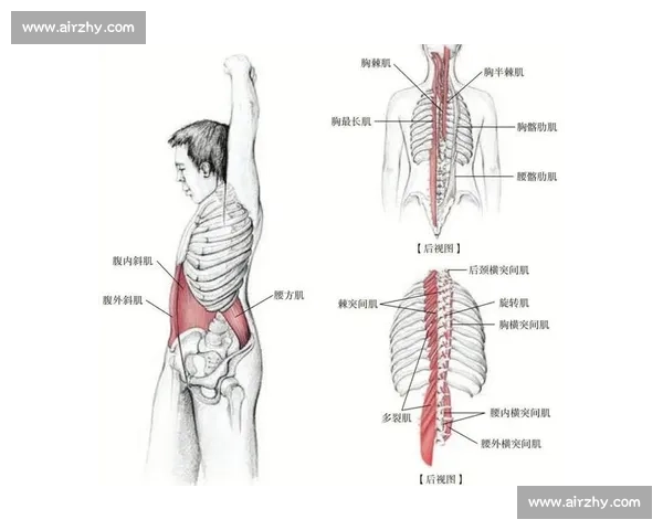 科学拉伸训练方法全面解析助力提高灵活性与运动表现 科学拉伸训练方法全面解析助力提高灵活性与运动表现